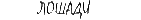 Фотографии
